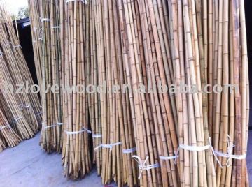 Garden Bamboo Pole