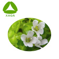 Порошок экстракта Bacopa Monnieri Brahmi Bacoside 20%