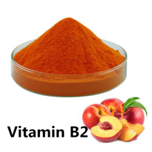Compre ingredientes ativos online de vitamina B2 em pó