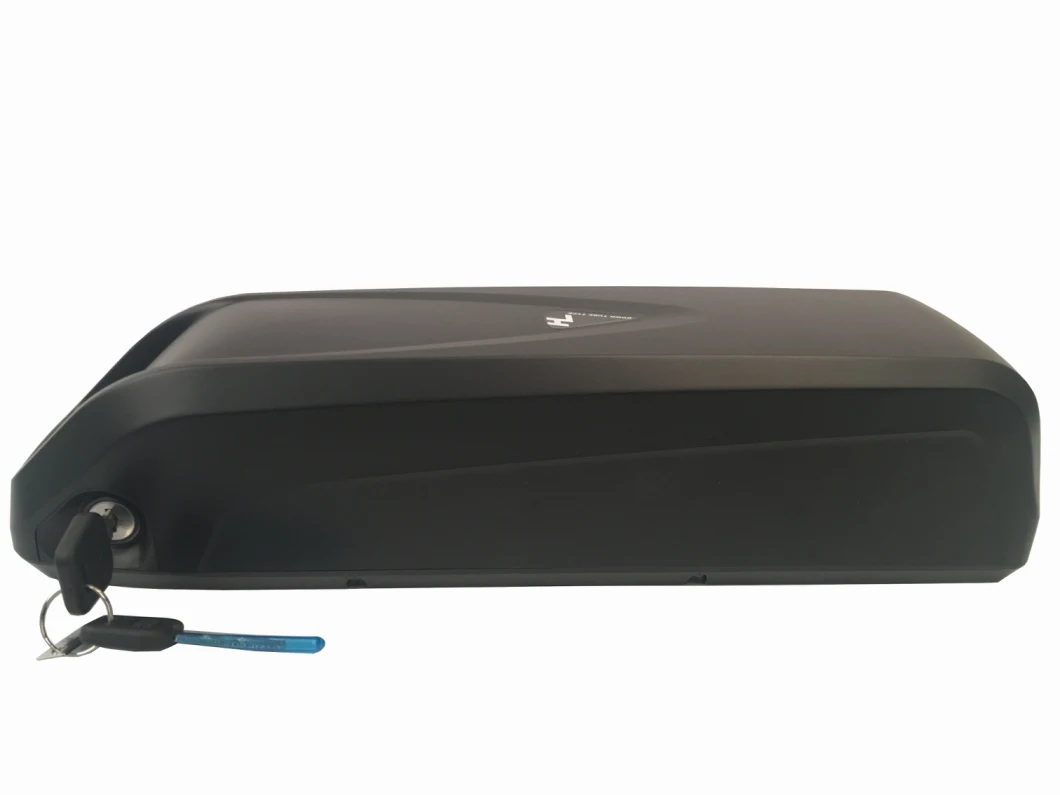 48V Battery For EBike