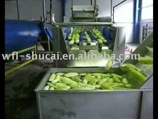 Vegetable And Fruit Washer