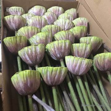 Artificial Silk Water Lily and Lotus Seed Pod Flowers for Wedding Decorations