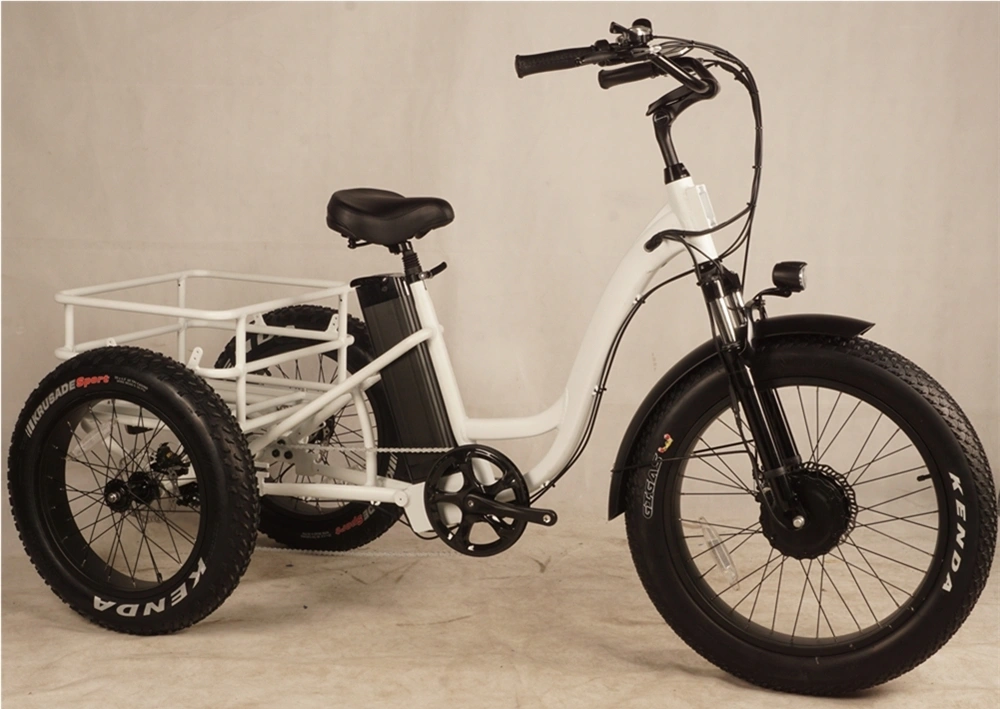 Tricycles 3 Wheel Electric Three Wheels Cargo Electric Tricycle 350W Electric Adult Tricycle