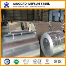 Preprinted Steel Coil\PPGI