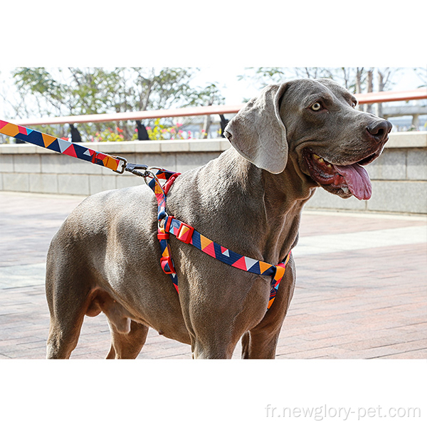 Harnais de marche de chien