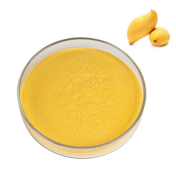 Organic Fruit Freeze Dried Mango Powder