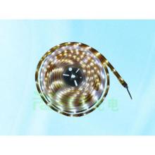 Waterproof Flexible LED Strip