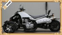 250 CC RACING QUAD BIKE 3 WHEELER