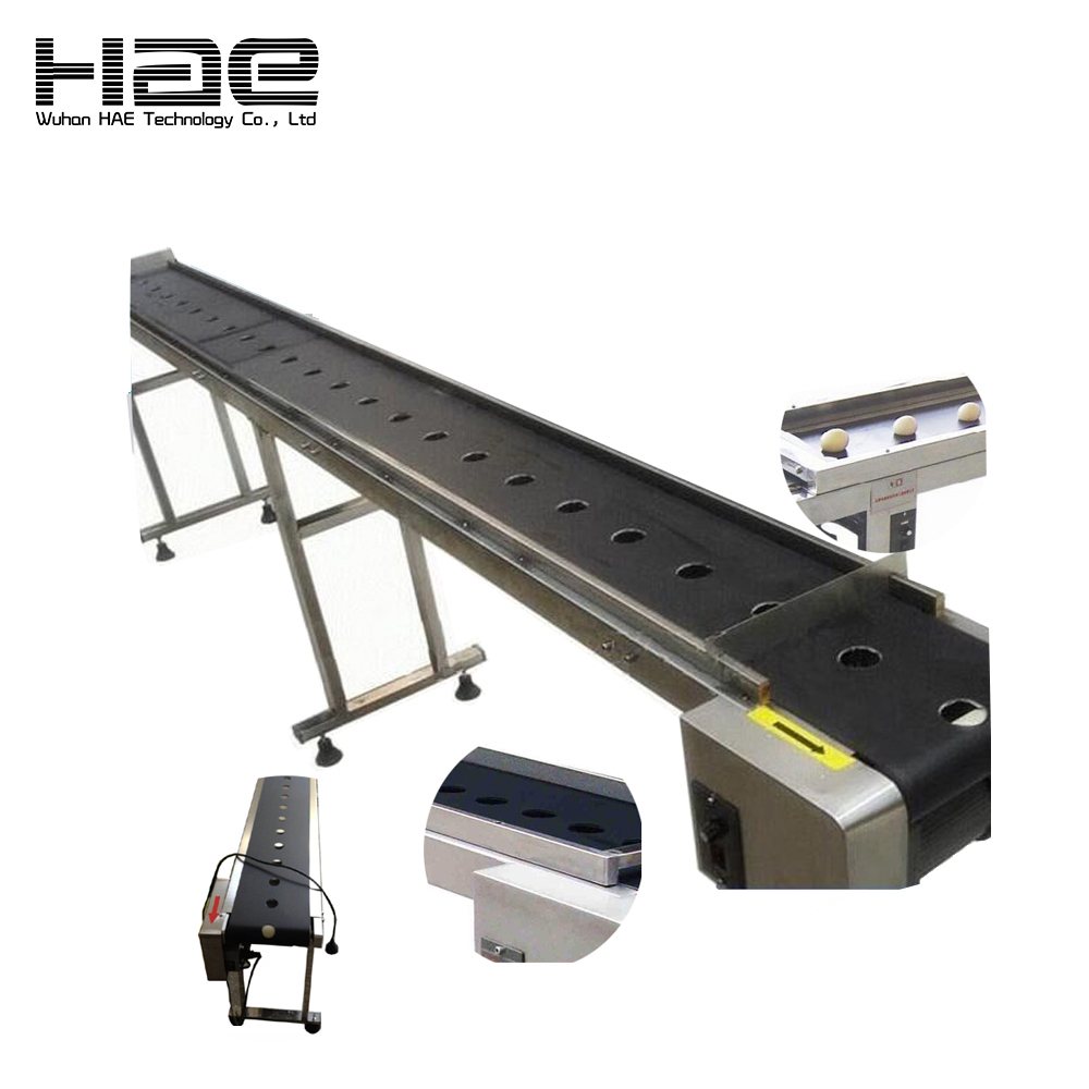 Fully Automatic Egg Belt Conveyor