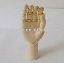 Wooden hand model