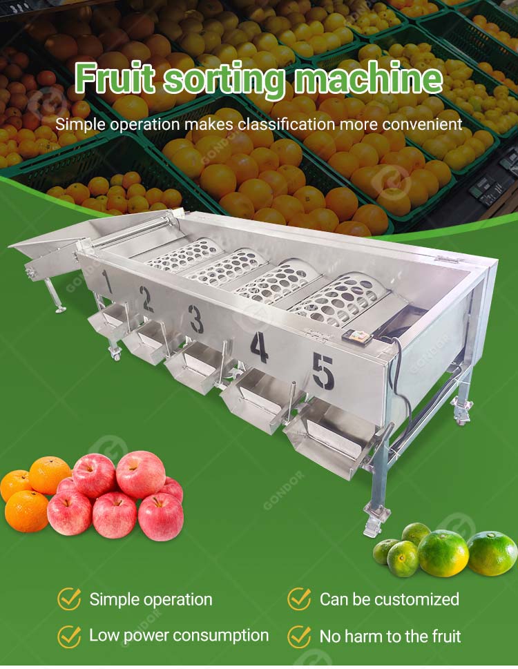 Mango Date Automatic Cherry Vegetable Fruit Olive Garlic Size Grading Sorting Machine for Fruit and Table