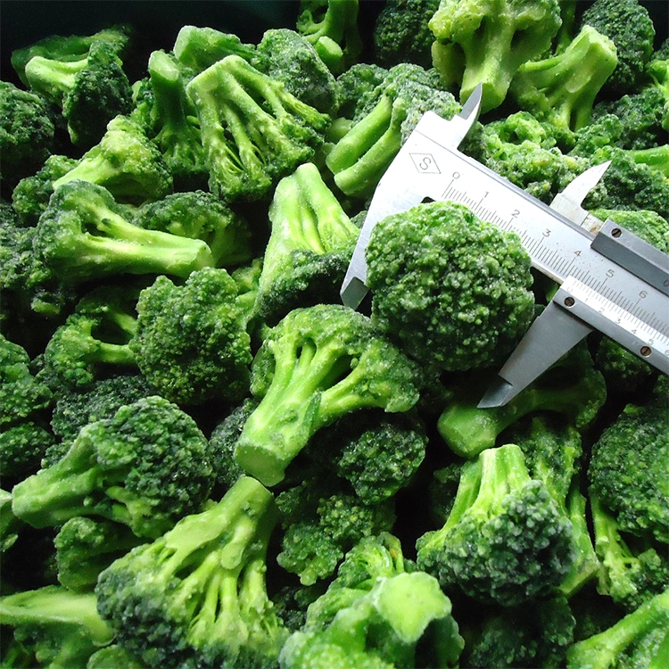 New Crop Frozen Vegetable Broccoli