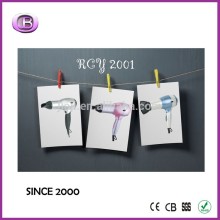 Salon use tourmaline ionic ceramic hair dryer