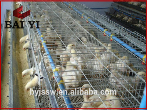 Layer egg chicken cage / poultry farm house design