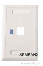 120 Type 1 Port Pace Plate?