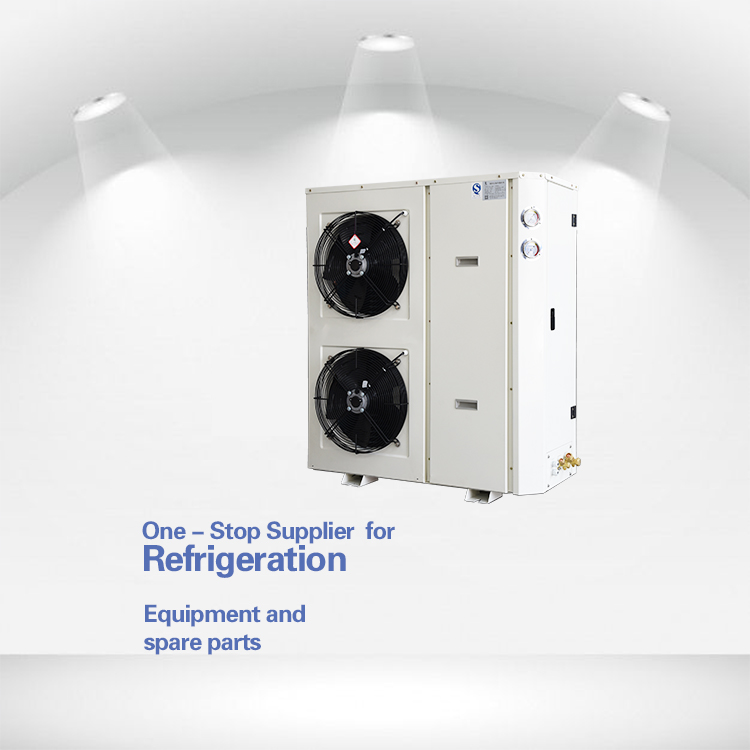 Outdoor Refrigeration r407c air cooled frozen condensing unit for food storage