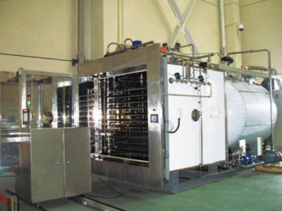 industrial vacuum dryer for strawberries