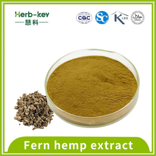 Cure anemia 20:1 Potentilla anserina extract