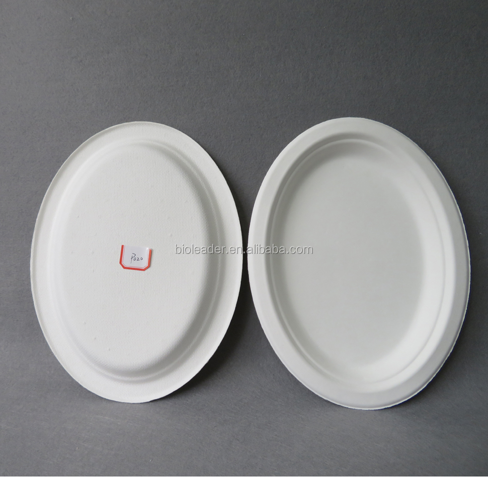 Biodegradable Waterproof Disposable Sugarcane Pulp Oval Takeaway Plate