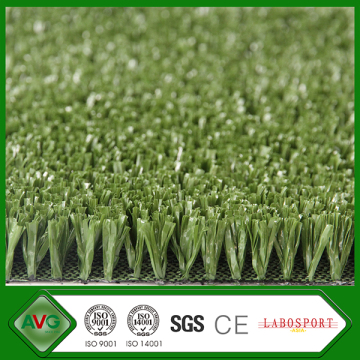 Chinese AVG golf turf