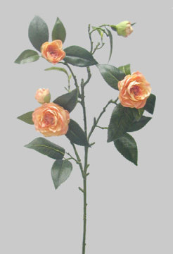 Camelia Planter