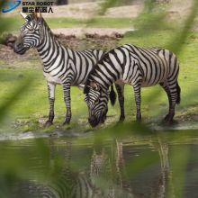 Animatronic Life Size Zebra Animal Model