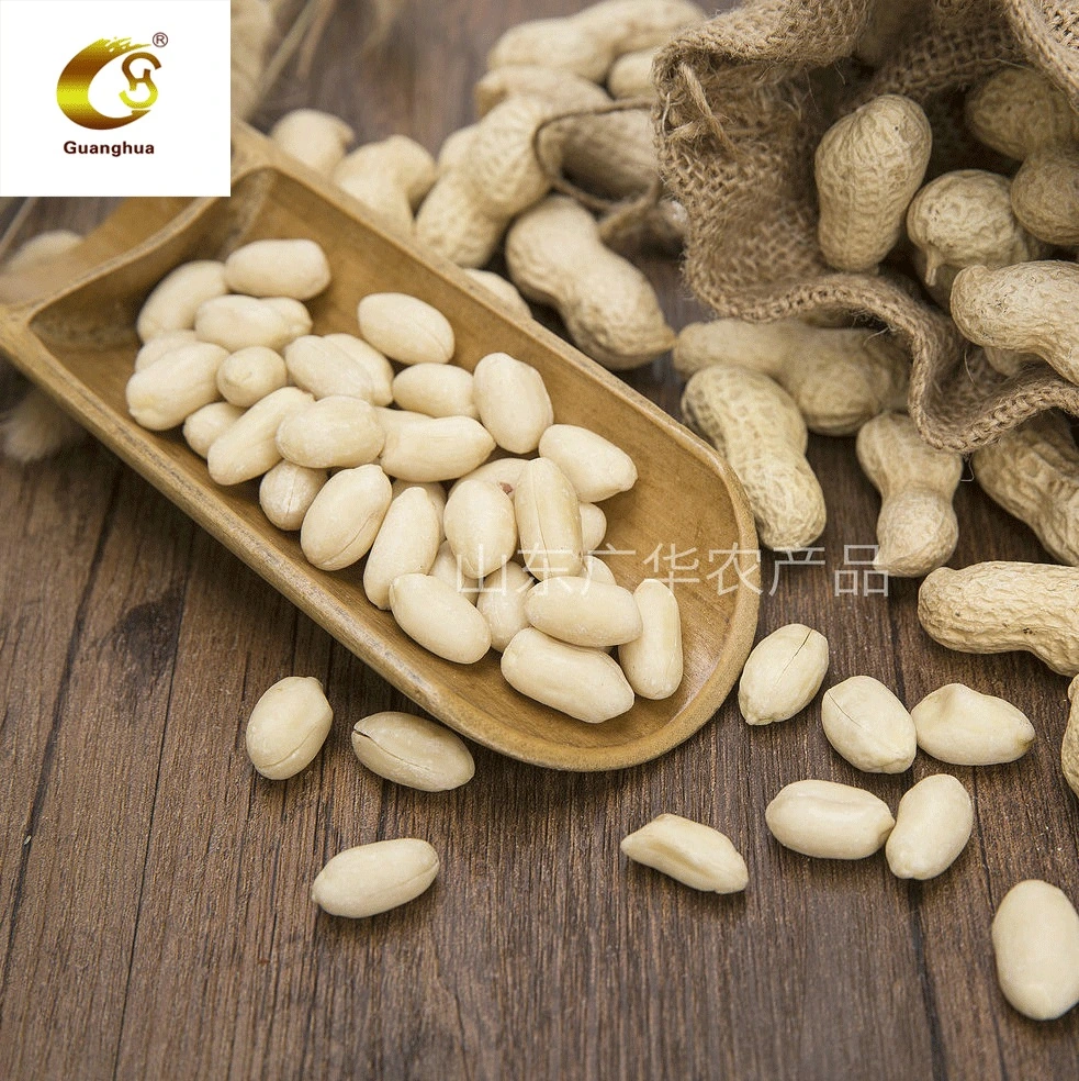 New Crop 2021 Blanched Peanut Kernels with Origin