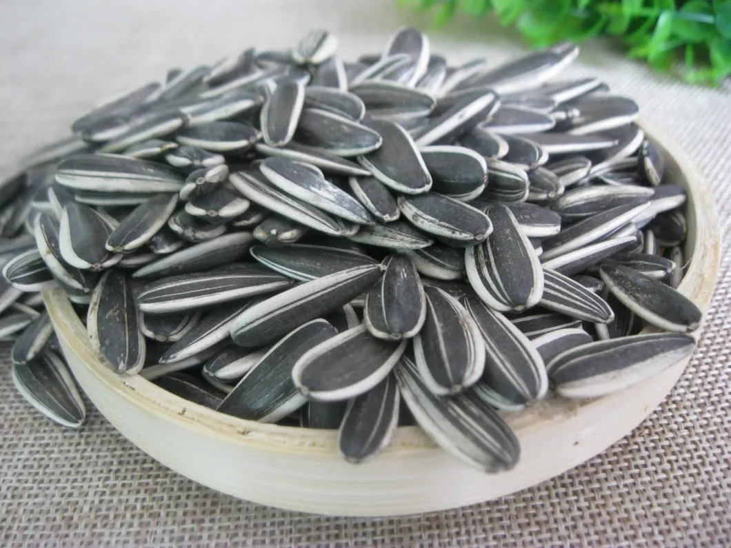 Perfect Quality Sunflower Seeds From Shandong Guanghua Inner Mengulia