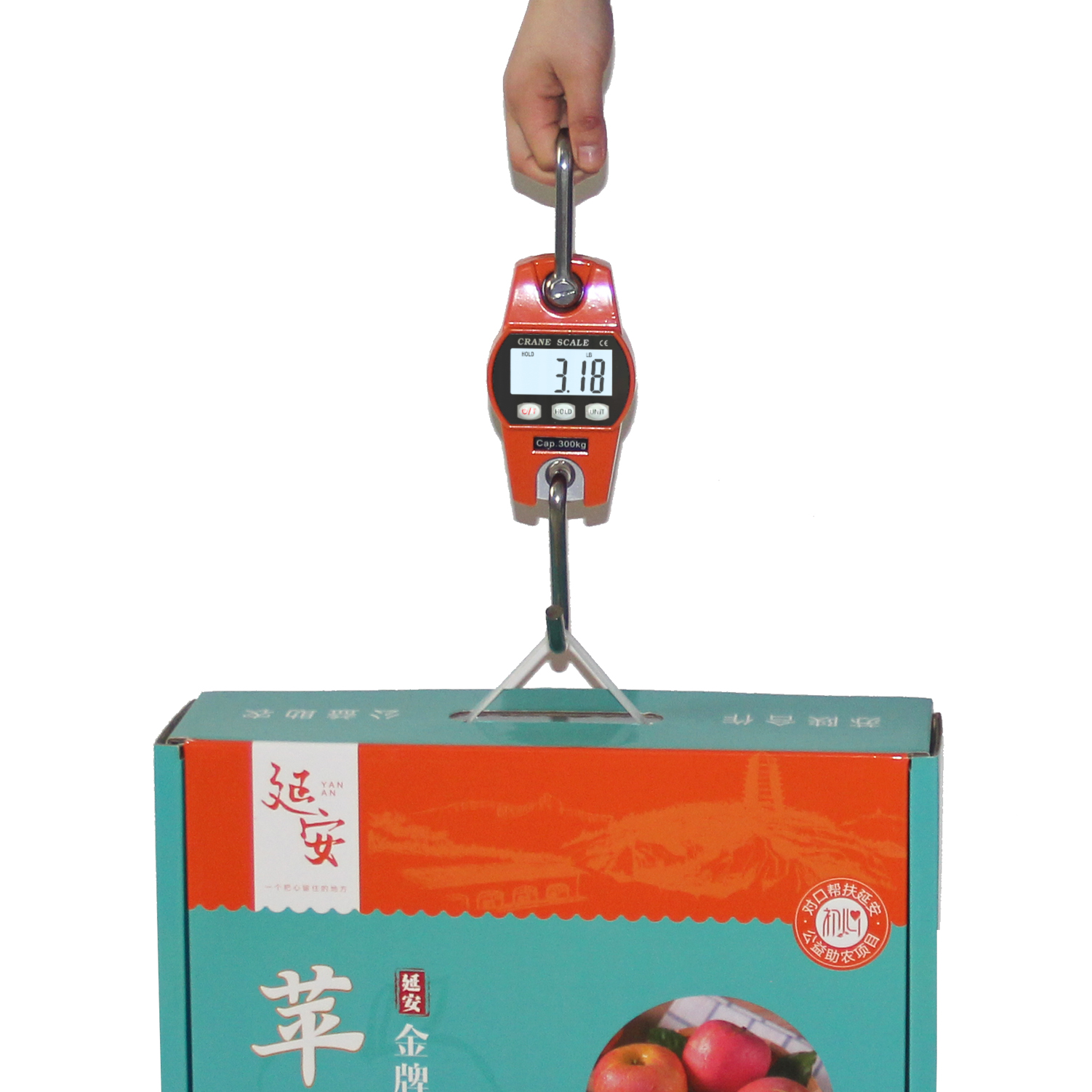sf-916 660 lb Digital Hanging Scale with Plastic Case