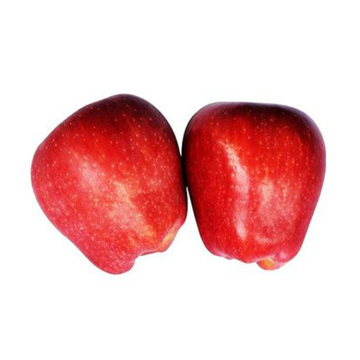 Chinese Fresh Apples Best Price Sweety Apples