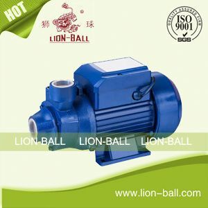 peripheral self priming water pump