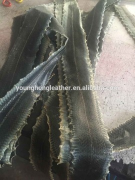 Raw snake skins