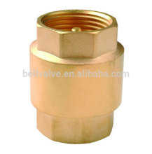 High quality casting iron spring loaded safety check valves