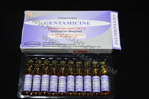 Gentamicin 주입