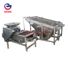 Automatic Cashew Kernels Peeling Machines