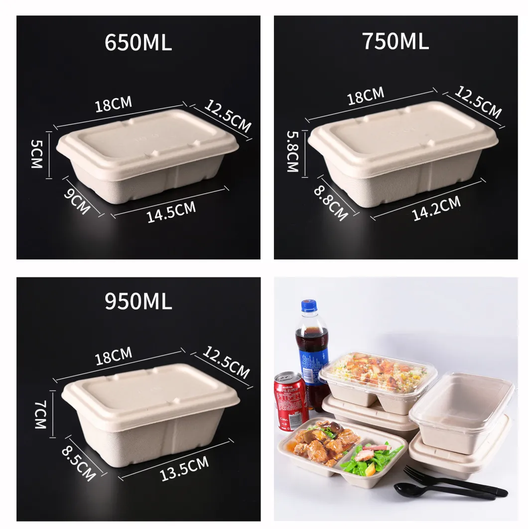 Wholesale Disposable Biodegradable Eco Sugarcane Bagasse Paper Fast Food Packaging