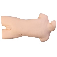 DARHMMY Advanced Medical Science Training Simulator for Bone Marrow Puncture