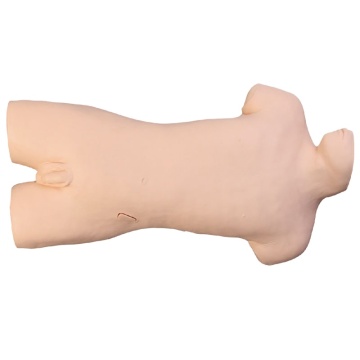 DARHMMY Advanced Medical Science Training Simulator for Bone Marrow Puncture