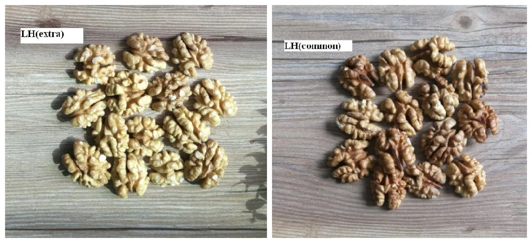 Wholesale New Crop Walnut Kernels in Hot Selling