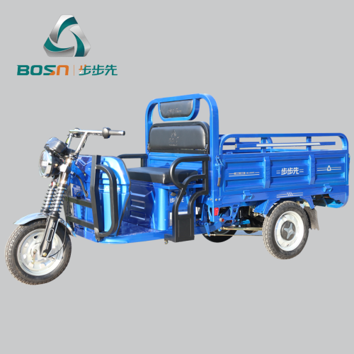 2020 New Style 1000 Watt Motor Cargo Delivery Dreirad