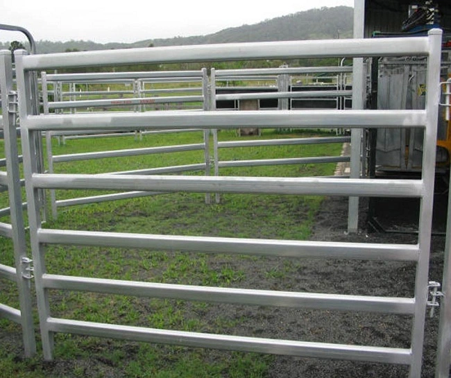 Australia Heavy Duty Galvanized 6 Oval Rail Livestock Panel Horse Panels Factory