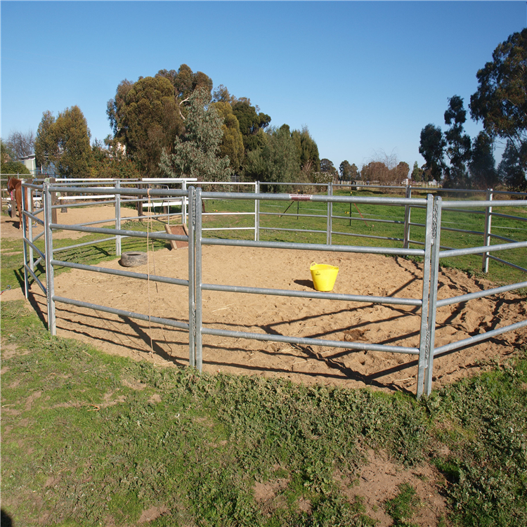 horse fence010
