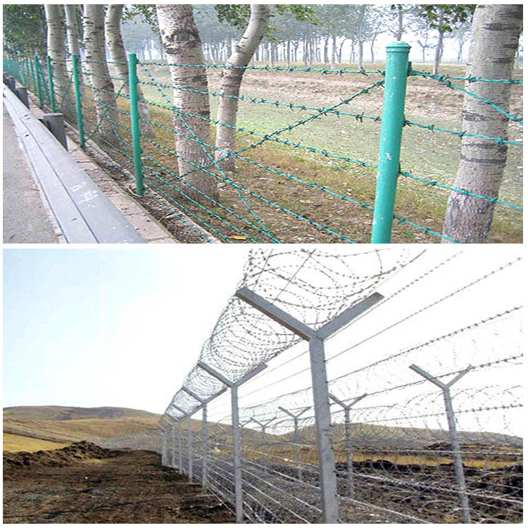 Steel Barbed Wire