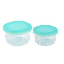 Non-Slip Silicone Bowl Set: Ideal Food Container and Storage Solution for Toddlers, Kids & Babies