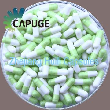 Gastric coated capsule