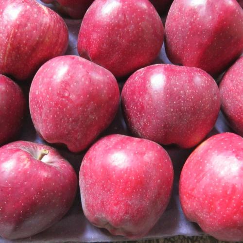 Kırmızı tatlı lezzetli Huaniu elma