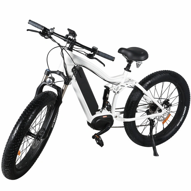 Snow Ebike Electric Mountain Bicycle China Electric Bike with Hidden Battery