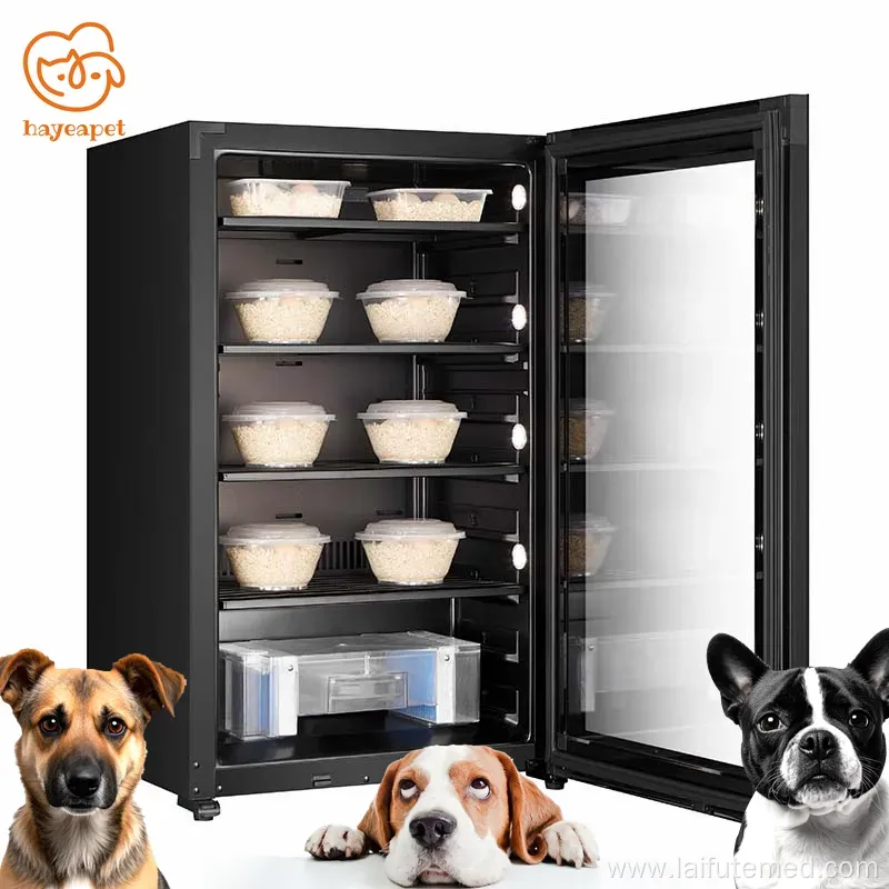 Essential for Animal Hospitals: Canine & Feline ICU, Hyperbaric Oxygen Chamber & Pet Incubator