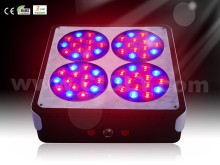 Apollo-4 LED LED grow light