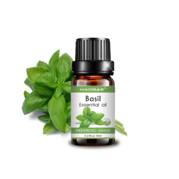wholesale 100% pure natural basil essential oil